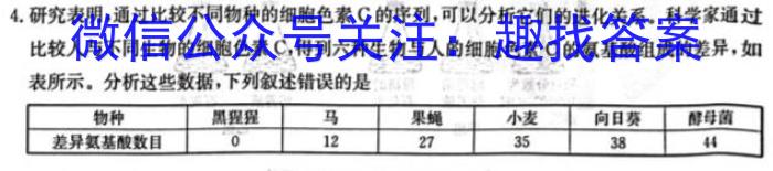 甘肃省环县一中2024届高三第七次模拟考试数学