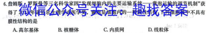 陕西省富平县2024年高三模拟考试(5月)生物学试题答案