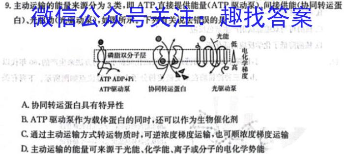 安徽省六安市登科学校2023-2024学年度第二学期八年级质量检测（一）英语