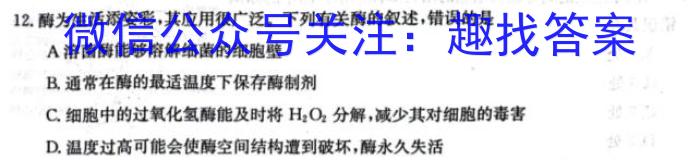 宿州市省、市示范高中2023-2024学年度第一学期期末教学质量检测（高一）数学