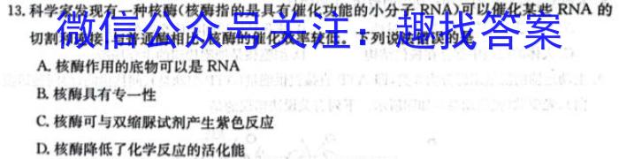 河南省尉氏县2024届九年级第一次模拟考数学