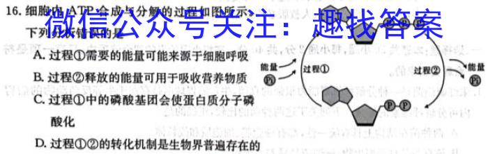 湖北省武汉市高二2023~2024学年度第二学期期末质量检测生物学试题答案