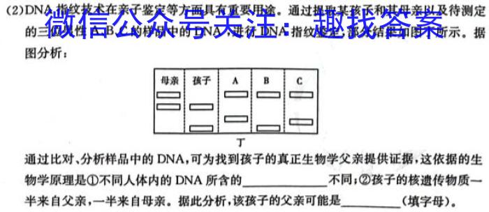 九师联盟 2024届高三2月开学考X答案生物学试题答案