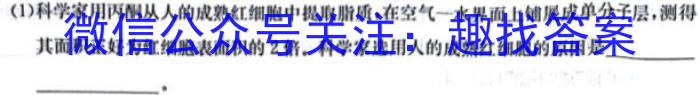 2024年新高考联考协作体高一2月收心考试数学