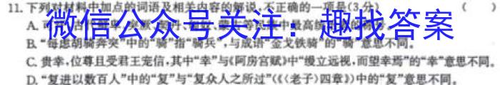 安徽省2024届九年级中考规范总复习（三）语文