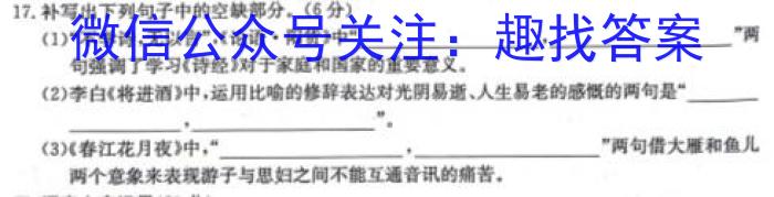 2024年全国普通高等学校招生统一考试·A区专用 JY高三冲刺卷(一)1语文