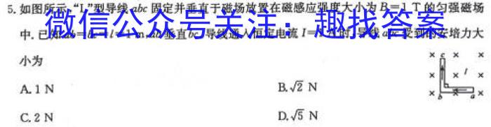 百校联赢·2024安徽名校大联考一物理试卷答案