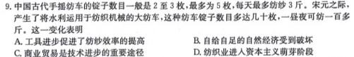 2024年湖南省普通高中学业水平合格性考试高一仿真试卷(专家版二)历史