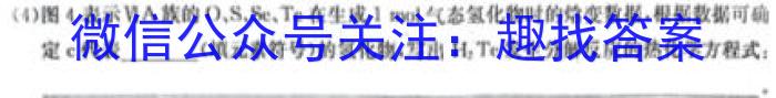 山东省泰安一模2023-2024高三一轮检测数学