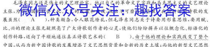 安徽省2024届九年级期末教学质量检测(试题卷)/语文