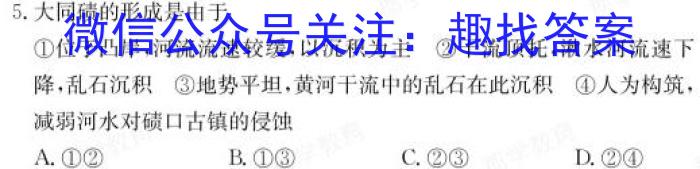 安徽省2024年九年级百校大联考（5月）地理试卷答案