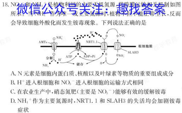 天壹名校联盟2024年上学期高二入学摸底考试生物学试题答案