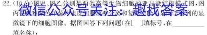 陕西省汉中市普通高中一年级新高考适应性考试(24-587A)数学