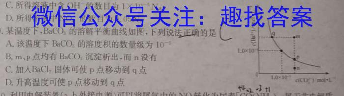 商丘市2024届高三年级高考适应性考试（3月）数学