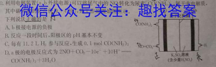 河南省2024届初中毕业班中考适应性测试数学