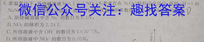 四川省名校联盟2024-2025学年上学期高三第一次联考数学