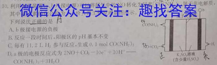 2024届华大新高考联盟高三3月教学质量测评化学