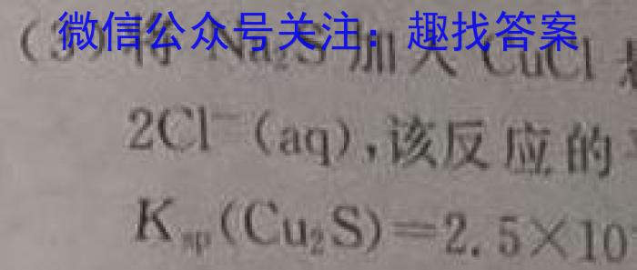 【精品】河南省郑州市2024年中招第一次适应性测试化学