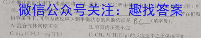 广东省佛山市南海区2025届高三摸底测试(8月)化学