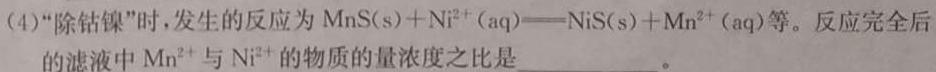 1九师联盟 2023~2024学年度高一上学期期末考试试卷化学试卷答案