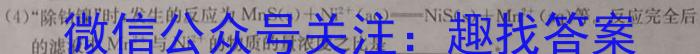 九师联盟 2024届高三1月质量检测数学