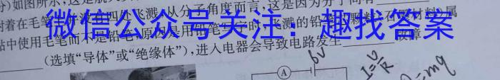 安徽省2023-2024七年级第二学期学习评价(1)物理