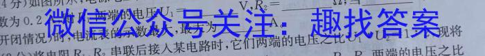 安徽省宿州市省、市示范高中2023-2024学年度高二第二学期期中教学质量检测物理试卷答案