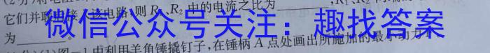 贵州天之王教育 2024年贵州新高考高端精品模拟信息卷(四)4物理试卷答案