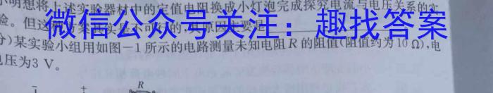 陕西省西安市陕西师范大学附属中学2023-2024学年下学期七年级开学收心作业物理