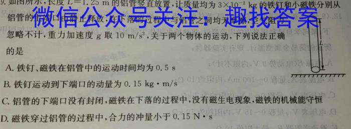 2024年河南省中招备考试卷(二十一)物理试题答案