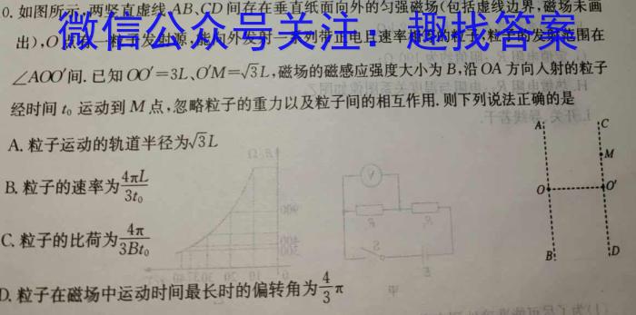 安徽省十联考 合肥一中2024届高三最后一卷物理`