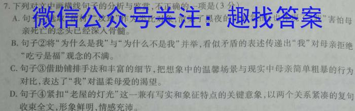 河南省驻马店市区学校2023年第一学期九年级期末质量监测试题/语文