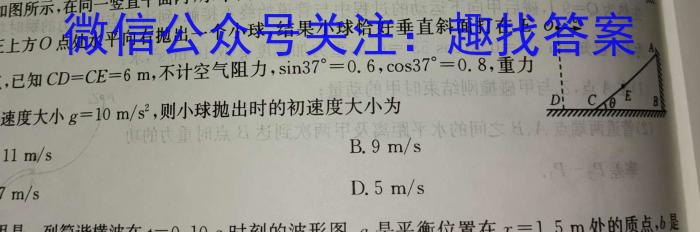 河南省2024年中考模拟示范卷 HEN(二)2物理`