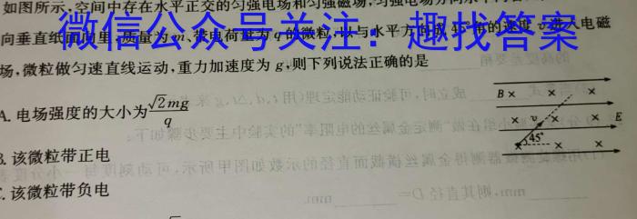 衡水金卷2024版先享卷答案 调研卷(河北专版)3物理`