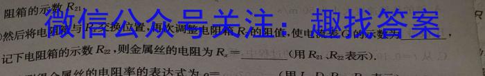 炎德英才大联考·2024年秋季高二第一次联考（暨入学检测）物理试卷答案