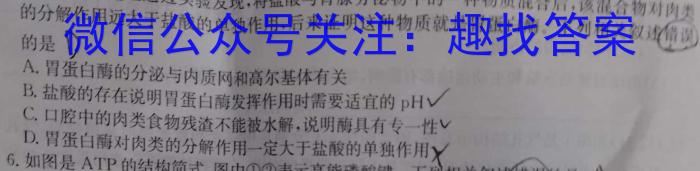 重庆市高2025届上学期拔尖强基联盟高三10月联合考试生物学试题答案