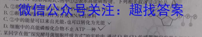 河北省2024-2025学年高三(上)质检联盟第一次月考(25-70C)生物学试题答案