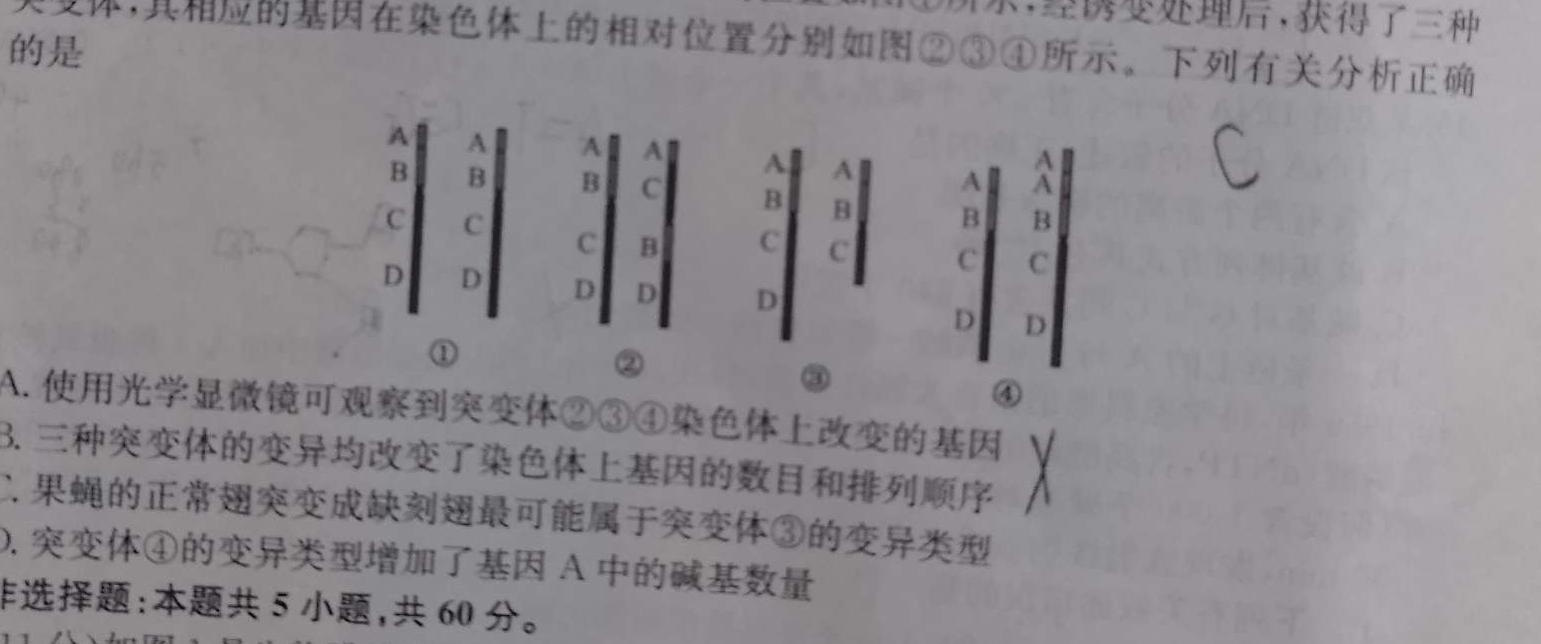 安徽省2024年中考模拟示范卷（五）数学.考卷答案