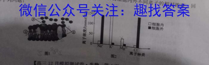 江门市2024年普通高中高一调研测试（二）数学