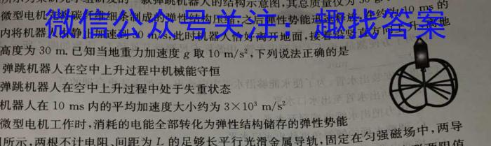 河北省L16联盟2024年普通高等学校招生全国统一考试模拟演练物理试卷答案