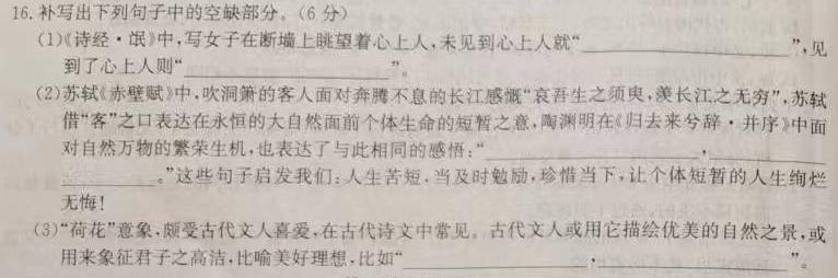 [今日更新]九师联盟 2024届高三2月开学考W试题语文试卷答案