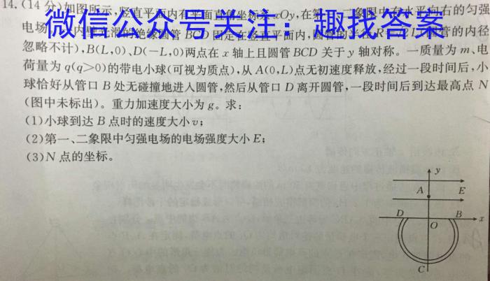 九师联盟2024届高三年级上学期1月期末联考物理`