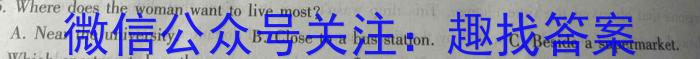 万唯中考 2024年陕西省初中学业水平考试(黑卷)英语