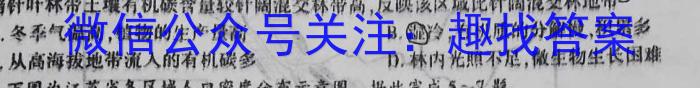 河南省顶级名校联盟2024届高三4月第三次模拟考试地理试卷答案