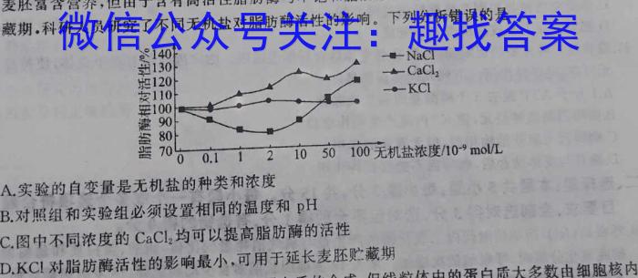 2024届衡水金卷高三4月份大联考数学