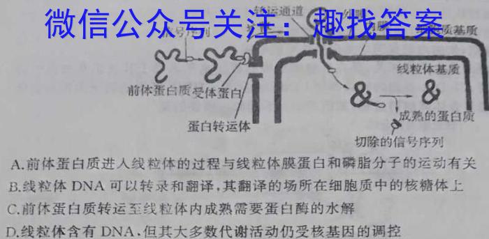 2024届重庆市高三第八次质量检测数学