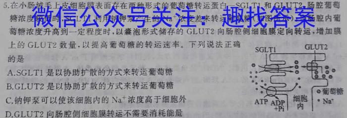 2024年陕西省初中学业水平适应性联考（二）生物学试题答案