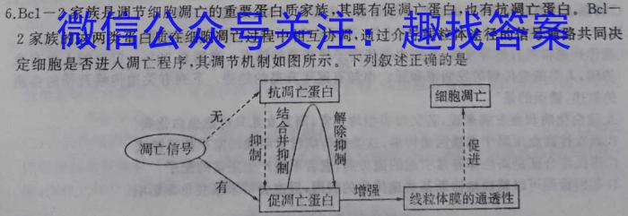 百师联盟2024年广东省中考冲刺卷(一)数学