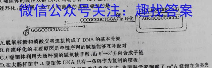 2024年河南中招考试模拟冲刺卷(三)数学