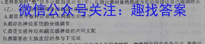 河北省2024年九年级4月模拟(六)数学